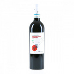 Vigna Madre Montepulciano D'Abruzzo Biovegan Víno Doc - 750ml