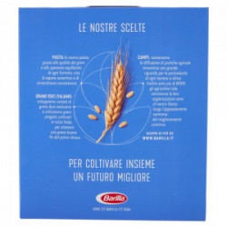 Barilla semolinové cestoviny Pipette Rigate n.86 1kg