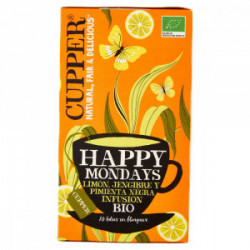 INFUSO HAPPY MONDAYS LIMONE E ZENZERO