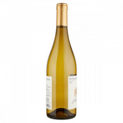 PINOT BIANCO