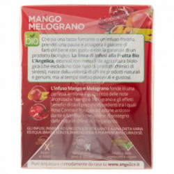 INFUSO MANGO E MELOGRANO