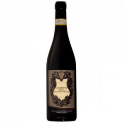 Corte Saiole Amarone BIO červené víno 0